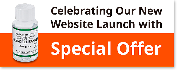 Celebraiting Our New Website Launch Spesial Offer
